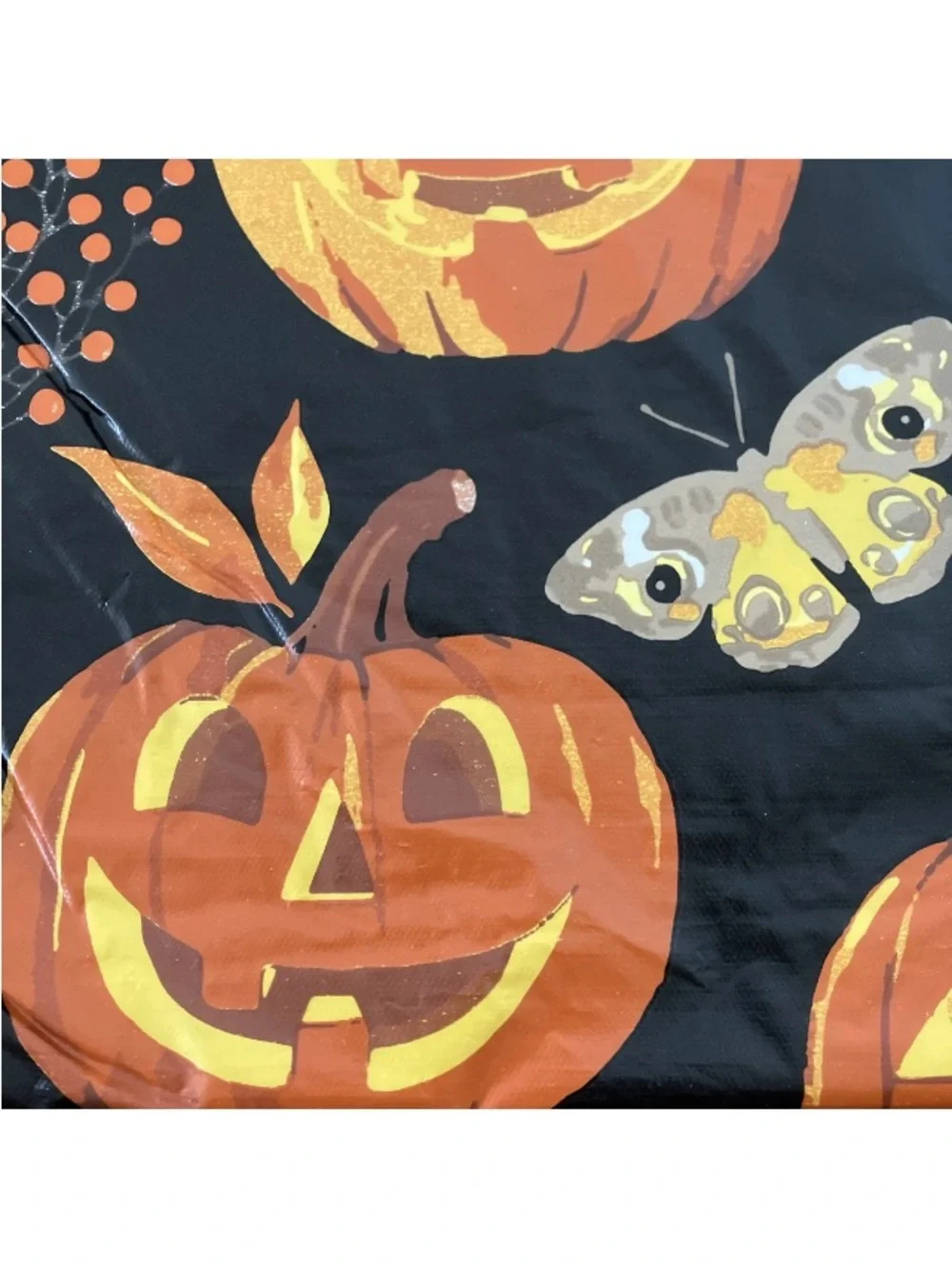 N/A pumpkins leaf